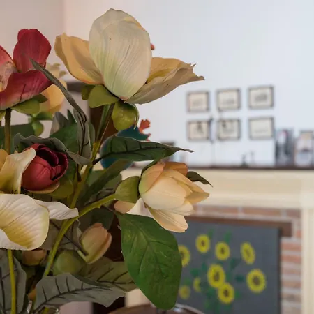 公寓 La Petronilla Montepetriolo *