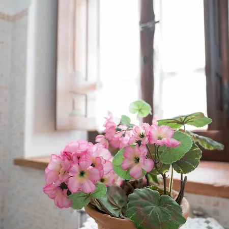 La Petronilla Montepetriolo * Monte Petriolo